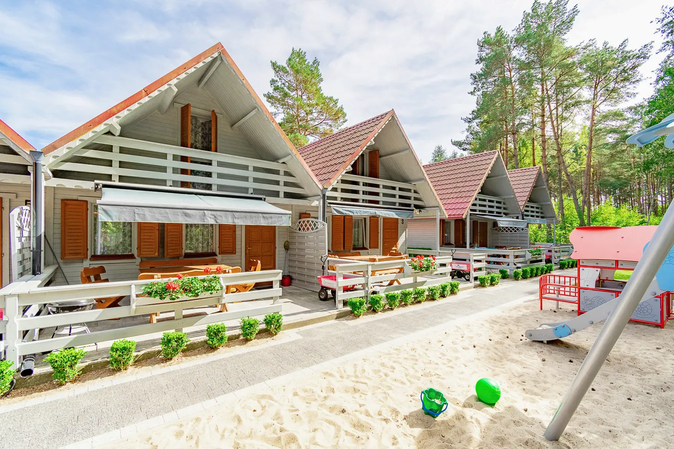 pod sosnami — okładka projektu
